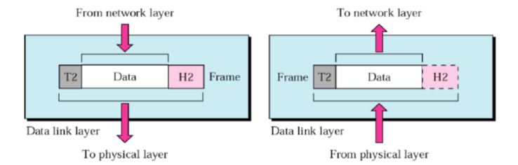 OSI Layers_Data Link layer